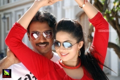 FB-Statushae-Podu-04