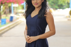 sema-botha-pressmeet-02