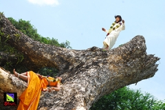 thakava-06