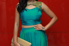 vil-ambu-audio-launch-01