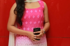 vil-ambu-audio-launch-03